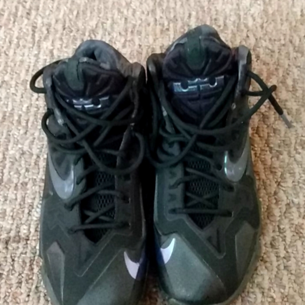 Labron sneakers